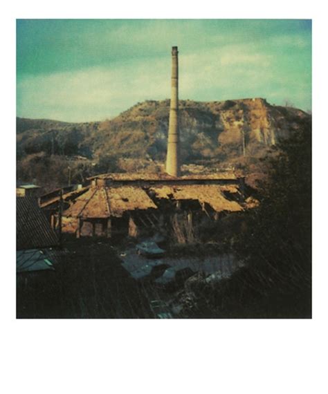 Andrei Tarkovskys Sublime Polaroids‎ And Free Films
