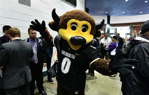 Watch Colorado Mascot Shoots Himself In Groin During Saturdays Game