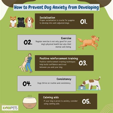 Dog Anxiety Signs And Solutions Kobi Pets