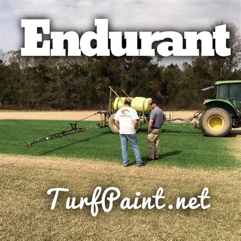 Sod Farmers Keeping Turf Green With Endurant Color Enhancer Endurant