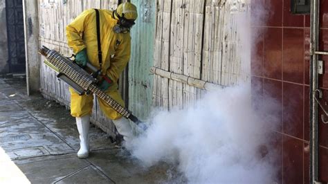 Who Declares Zika Virus A Global Health Emergency First Time Since