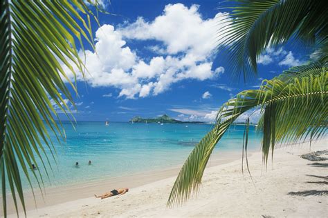 Every Beach On The Island Of St Lucia Including Those That Are Part Of The Top Resorts Is
