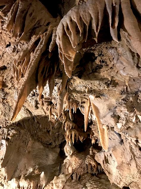 Tour Lake Shasta Caverns National Natural Landmark