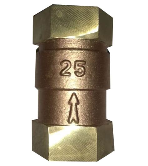 3625psi Brass Water Vertical Check Valve Screwed At Rs 150piece In