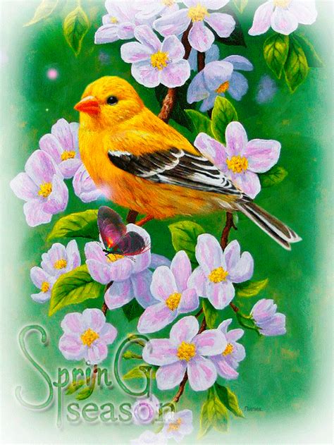 0178ef0bedd0d58orig 563×750 Bird Art Animal Paintings Bird