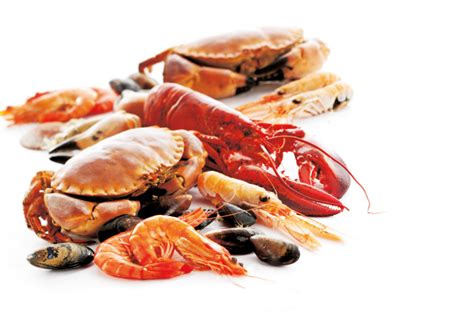Seafood Recipes – Saturday Kitchen RecipesSaturday Kitchen Recipes