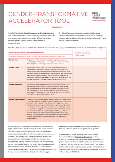 gender transformative accelerator tool brief