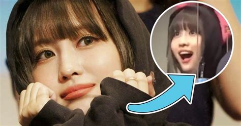 Twices Mina Momo And Sana Become Starstruck By The Same Fan At The