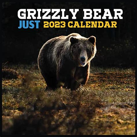 Buy Just Grizzly Bear 2023 Calendar Official Bears Calendar 2023 12