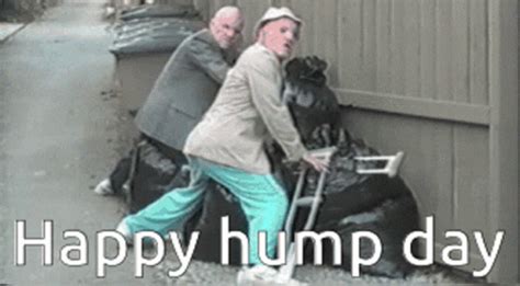 Happy Hump Day Humping Gif Happy Hump Day Humping Trash Gifs Entdecken Und Teilen