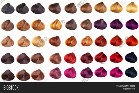 Hair Palette Dyed Image And Photo Free Trial Bigstock