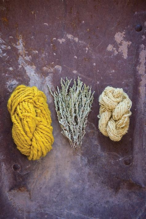 Sagebrush Natural Dye Fabric How To Dye Fabric Botanical Dyeing