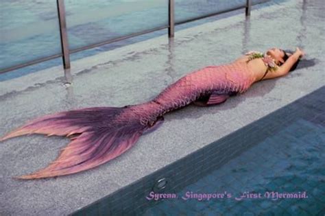 Mermaids And Anchors Syrena Singapores First Mermaid Trip The