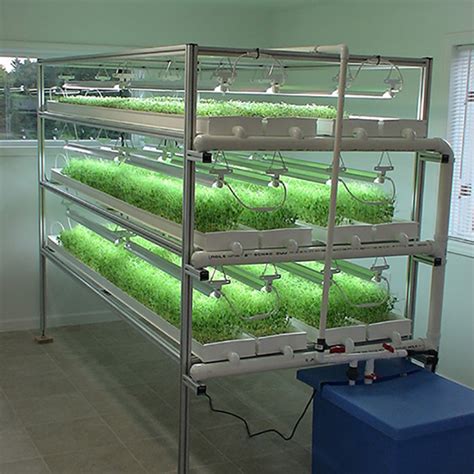 Large Scale Hydroponic Microgreen Rack Supplier Supply Various Large