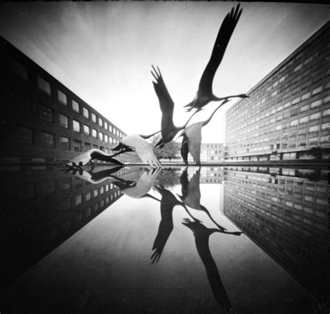 12 Black And White Photos Taken With Pinhole Cameras