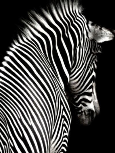60 Inspiring Examples Of Black And White Photography Wallpaper 2011