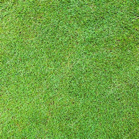 Beautiful Green Grass Texture From Golf Course ⬇ Stock Photo Image By