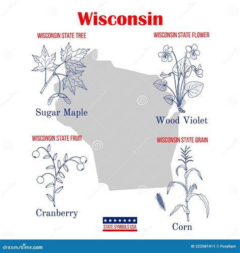 Wisconsin Set Of Usa Official State Symbols Stock Illustration