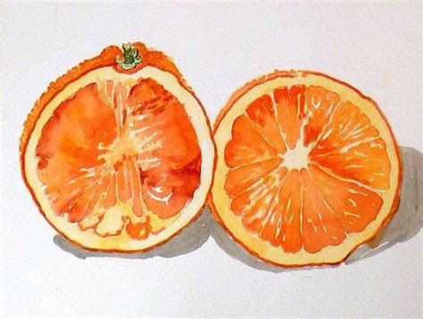 Orange Painting Fruit Painting Painting Prints Watercolor Paintings