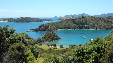 Explore The Best Beaches In Bay Of Islands