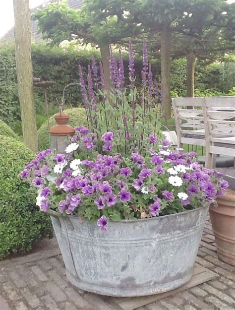 Large Galvanized Tubs For Gardening Canada Beautiful Insanity