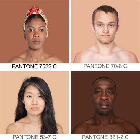 A Color Palette Of Human Skin Tones Human Skin Color Skin Palette Colors For Skin Tone