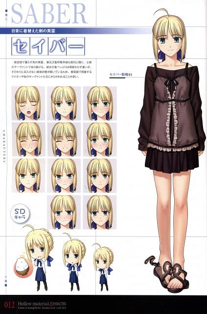 Type Moon Fate Complete Material V Hollow Material Fate Hollow