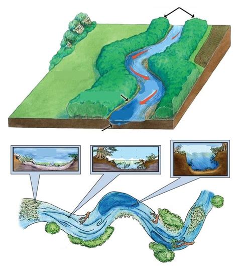 Week 5 Stream Landforms And Erosion Transportation And Deposition Diagram