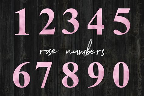 Rose Foil And Floral Numbers By North Sea Studio Thehungryjpeg