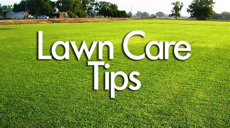 Easy Lawn Care And Maintenance Tips Best Guide