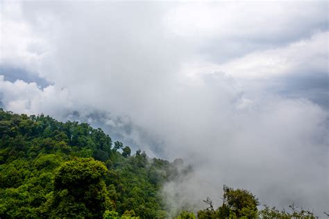 Fog And Clouds Over The Forest At Ravangla India Image Free Stock