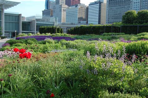 Chicagos Lurie Garden Gardeninacity