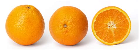 Fileorange And Cross Section Wikimedia Commons