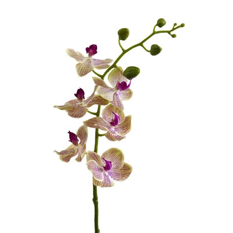 Artificial Orchids Silk Orchids Nearly Natural