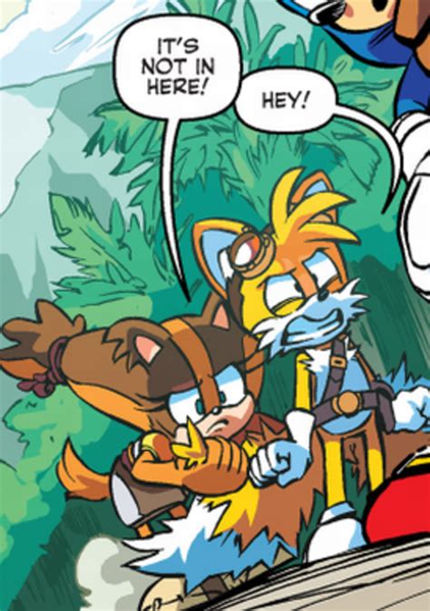 Sticks Handling Tail S Tails Archie Sonic Comics Know Your Meme