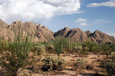 The Sonoran Desert A Tapestry Of Arid Wonders Lac Geo