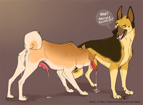 Rule 34 After Sex Anus Backsack Balls Bodily Fluids Canid Canine
