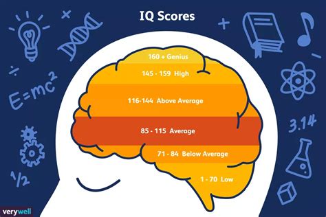 Different Types Of Iq Test 2020 Are You Outgoing Or Introverted Do
