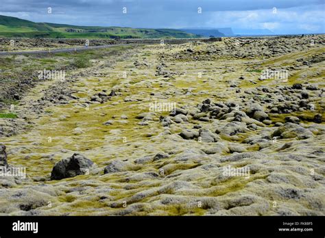 Eldhraun Lava Field Hi Res Stock Photography And Images Alamy