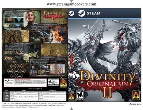 Steam Game Covers Divinity Original Sin 2 Box Art