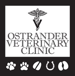 Home - Ostrander Veterinary Clinic