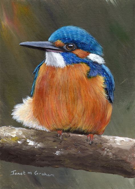 Original Bird Painting Art Kingfisher Sfa Wildlife 5 X 7 Inches Acrylic