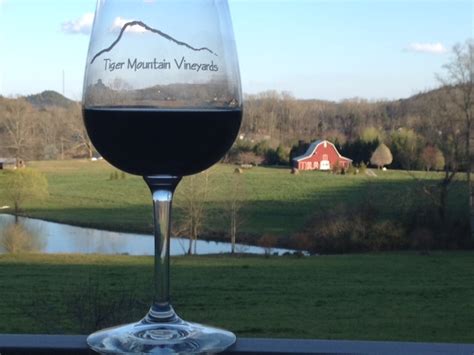 The 25 Best Wineries In The North Georgia Mountains