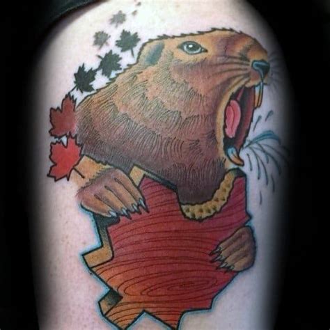 Get directions, reviews and information for beaver tattoo in woodhaven, ny. 40 Beaver Tattoo Designs For Men - Semi Aquatic Rodent Ink ...