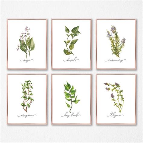 Herb Prints Set Of 9 Herb Printable Collection Kitchen Etsy Herb