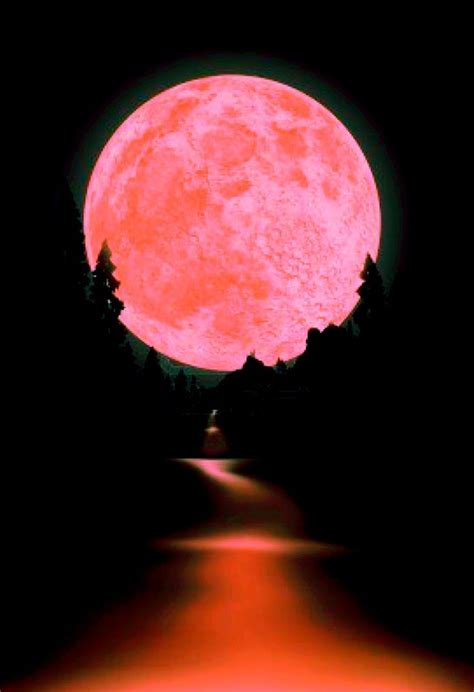 ภเгคк ค๓๏ Beautiful Moon Moon Photography Pink Moon