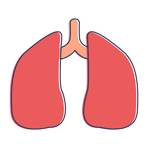 Lungs Clipart For Kids
