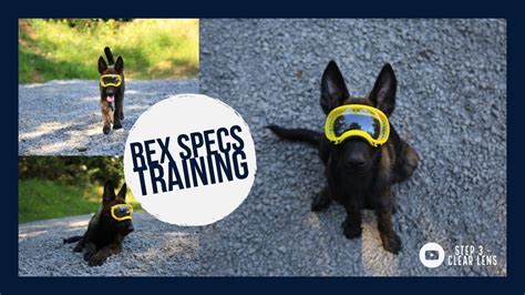 It was extremely precision built with some exotic metals and composites while exploting loopholes in the rules. Rex Specs Training - Step 3 - Clear - YouTube