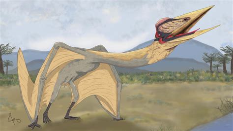 Dragon Of Death Pterosaur Is The Largest Pterosaur In South America Cnn