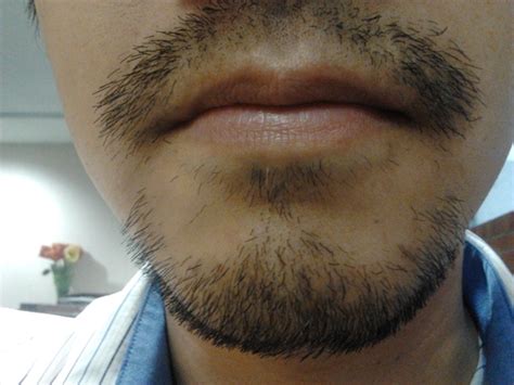 And dominant men can get more mating opportunities by intimidating rivals to stand aside. 30year old Korean guy growing balbo - Beard Board